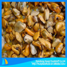 frozen cooked green mussel meat